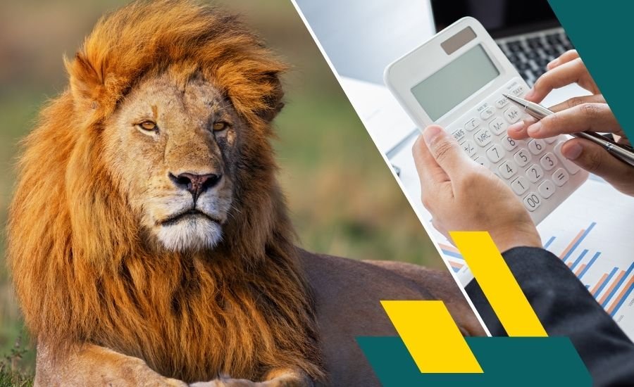 Micro e Pequena Empresa, MEI e Simples Nacional: Gestão Contábil Eficiente para sua Empresa Crescer com Segurança